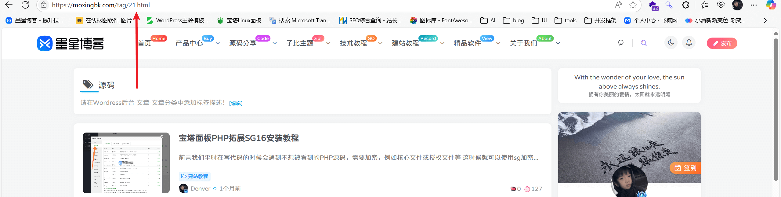 子比主题 - 标签页面固定链接转为html格式(修复版)-墨星博客 - 提升技术能力的必备资源教程网
