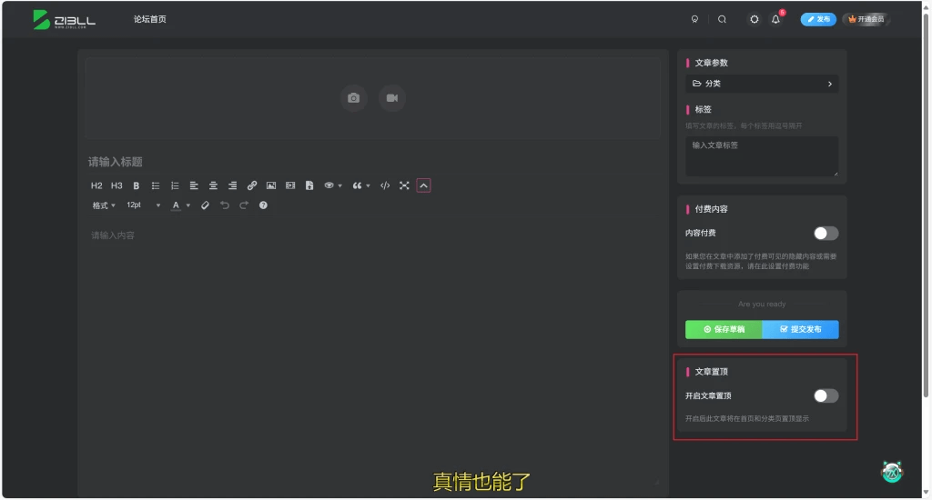 子比主题DIY功能 - 前台投稿侧边栏添加文章置顶功能-墨星博客 - 提升技术能力的必备资源教程网