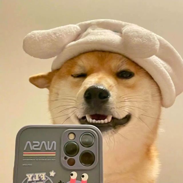 天无神话的头像-墨星博客 - 提升技术能力的必备资源教程网